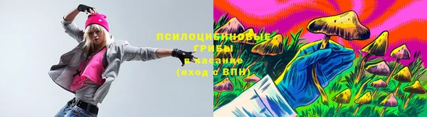 синтетический гашиш Елабуга