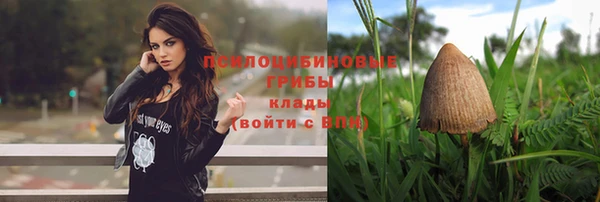 синтетический гашиш Елабуга