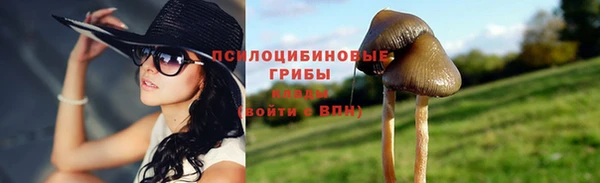 mdpv Ельня