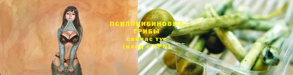 mdpv Ельня