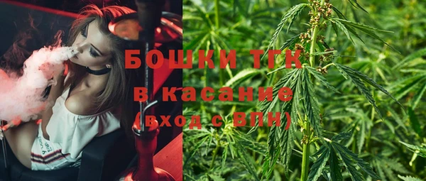 mdpv Ельня