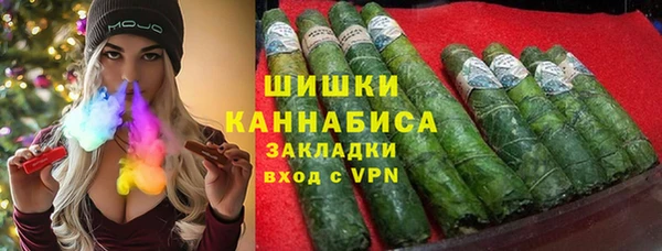 mdpv Ельня