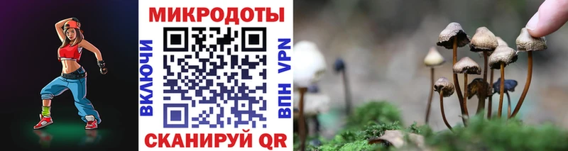 Псилоцибиновые грибы Magic Shrooms  Купить  Зеленодольск 